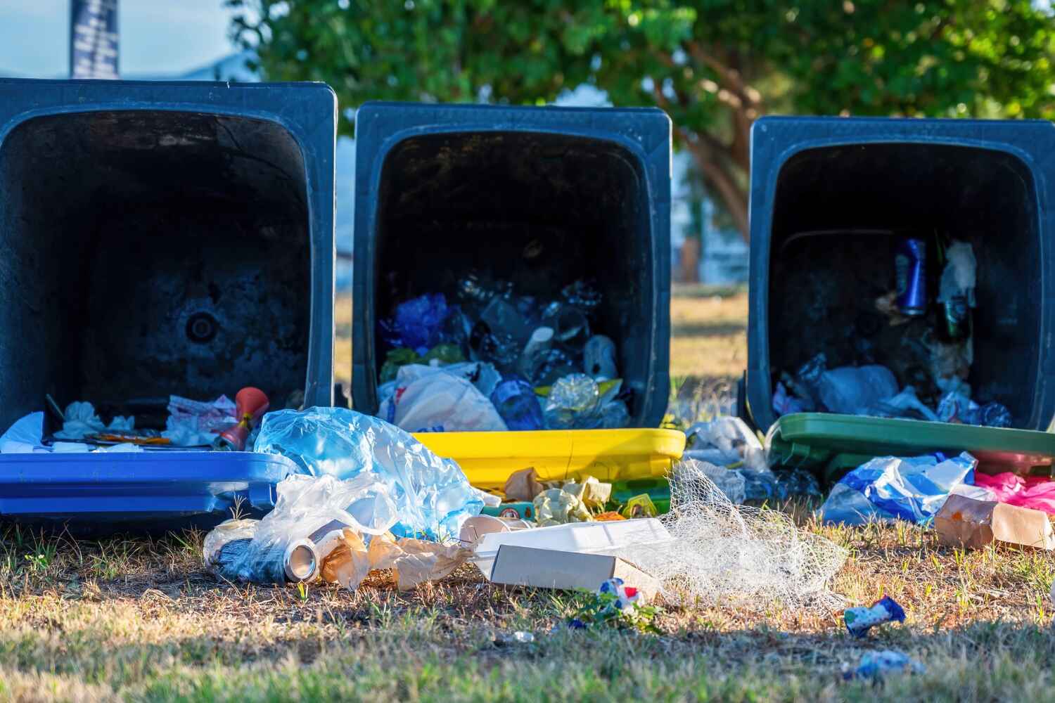 Best Trash Removal Near Me  in Arbuckle, CA